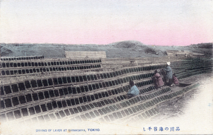 Drying of Laver at Shinagawa, c. 1910.