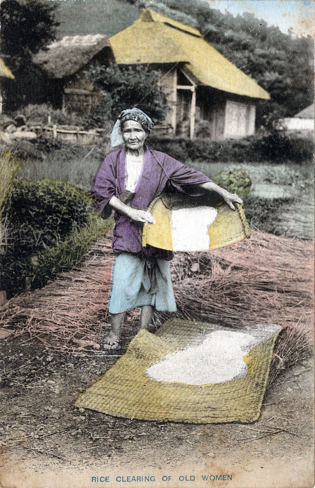 Keystone Stereoview of Workers Planting Rice in JAPAN from 1920’s 400 Set #300 