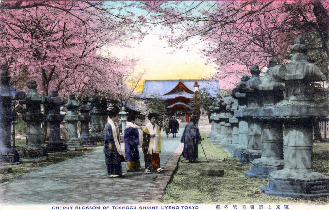 Tosho-gu Shrine, Ueno Park, under the cherry blossoms, c. 1920.