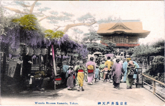 Wisteria at Kameido, c. 1910.