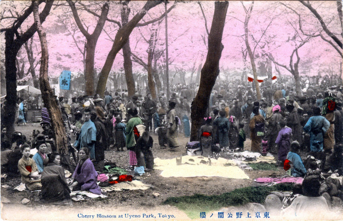 Cherry Blossoms at Uyeno Park, Tokyo, c. 1910.