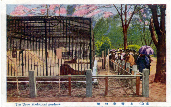 The Ueno Zoological Gardens, Tokyo, c. 1930.