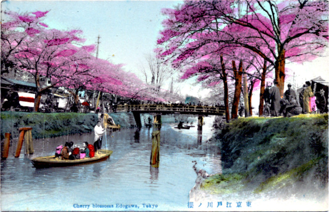 Cherry Blossoms Yedogawa, c. 1910.
