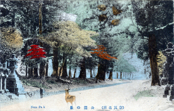 Nara Park, Nara, c. 1910.